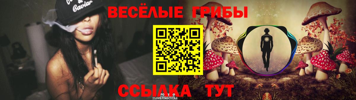Псилоцибиновые грибы Cubensis  Вход с VPN  Чехов 